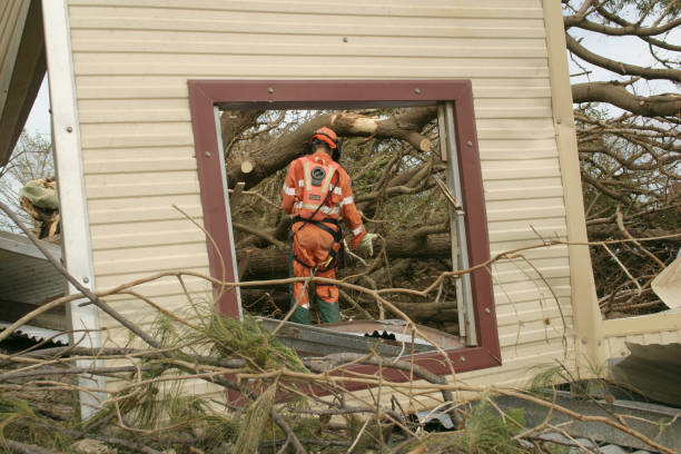 Highwood, IL Tree Services Company