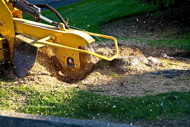 Artificial Turf Installation in Highwood, IL