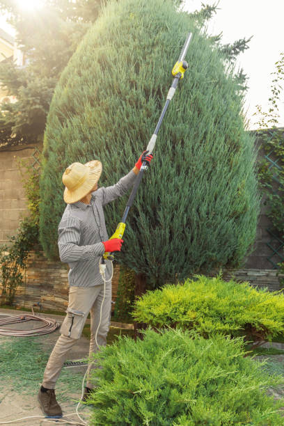 Best Lawn Irrigation Installation and Maintenance  in Highwood, IL